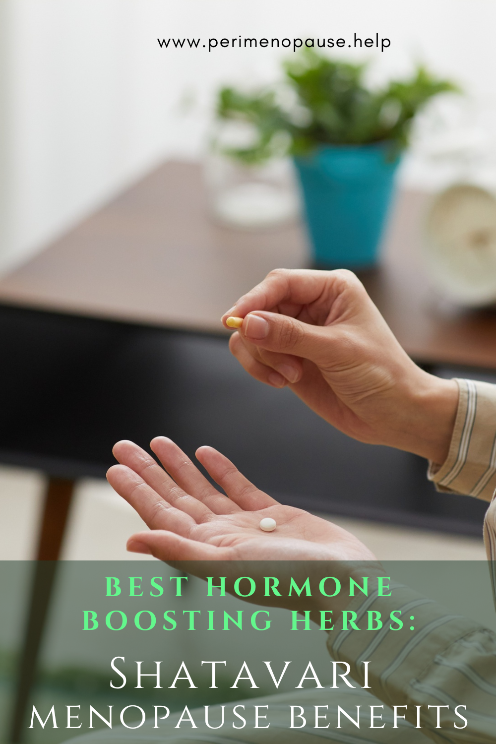shatavari menopause benefits