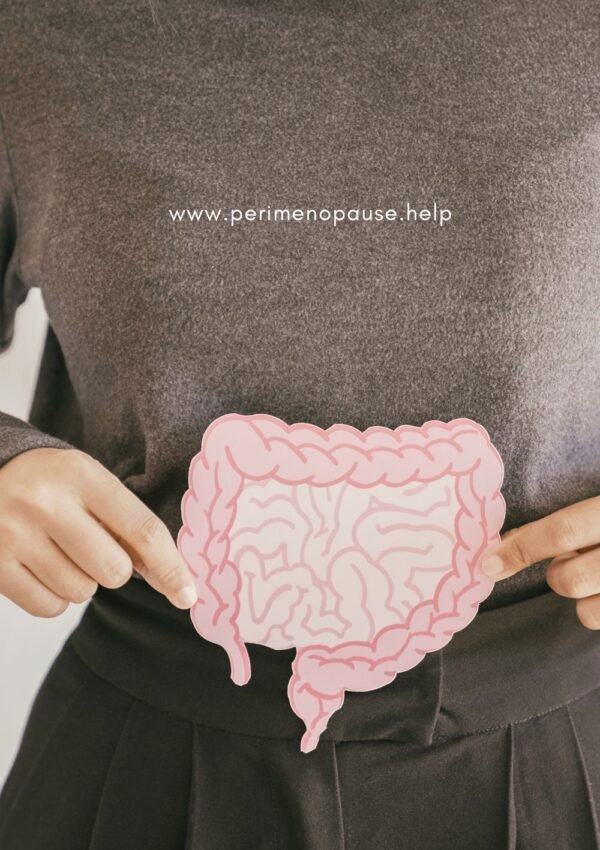 How Gut Health Shapes Perimenopause Symptoms