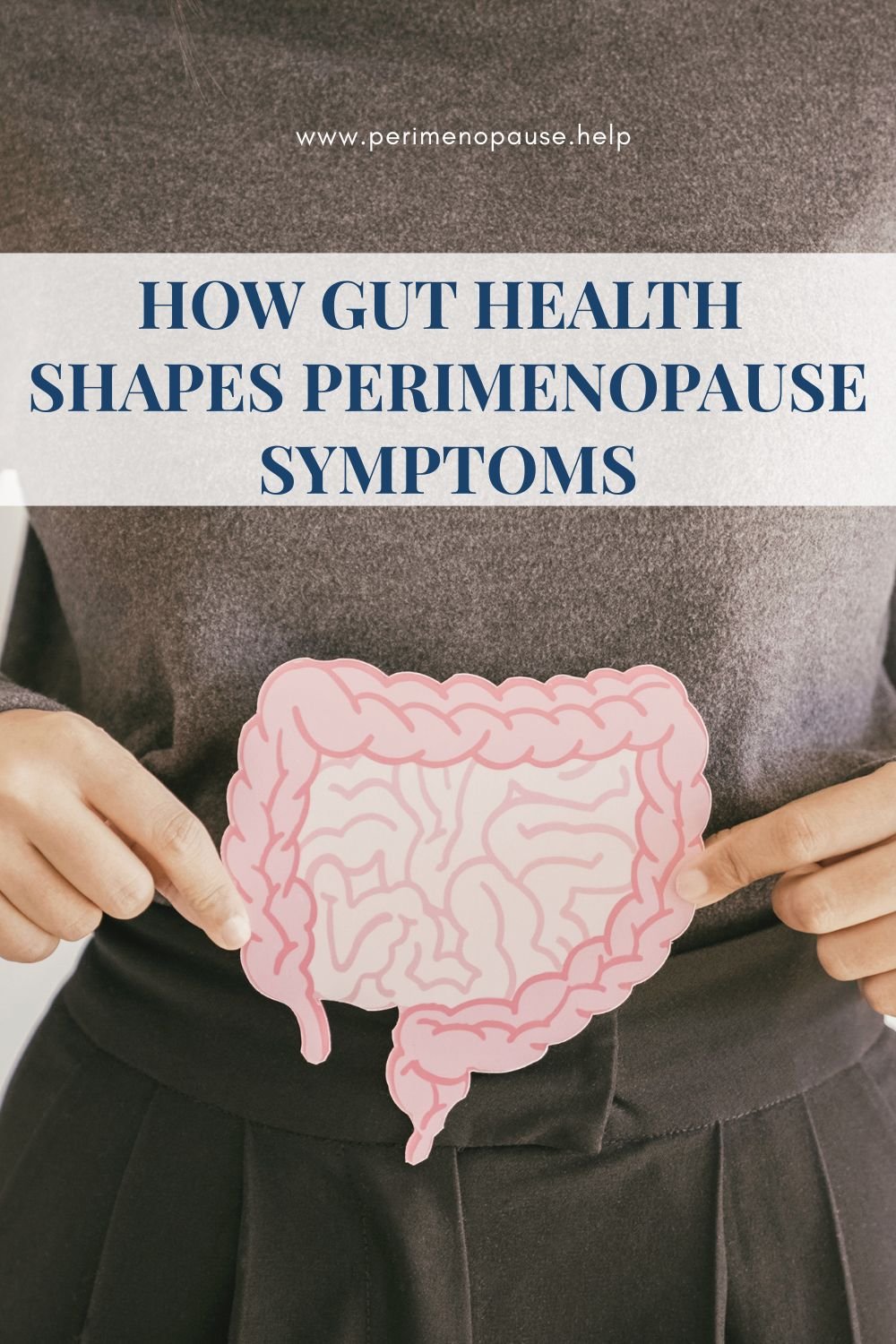 how gut health shapes PERIMENOPAUSE symptoms